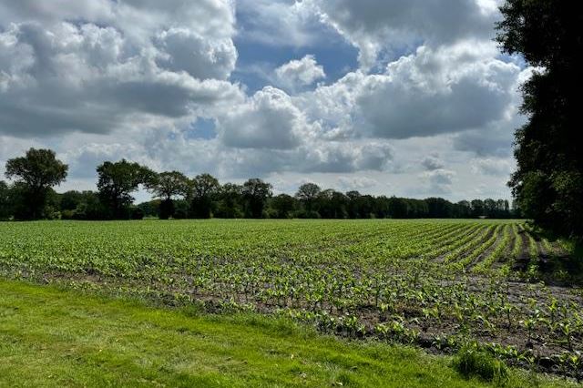 Bekijk foto 38 van Markeweg 67