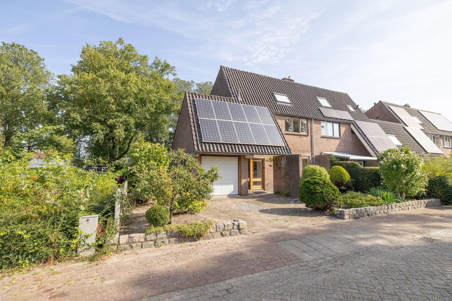 Foto 1 van Watersnip 1