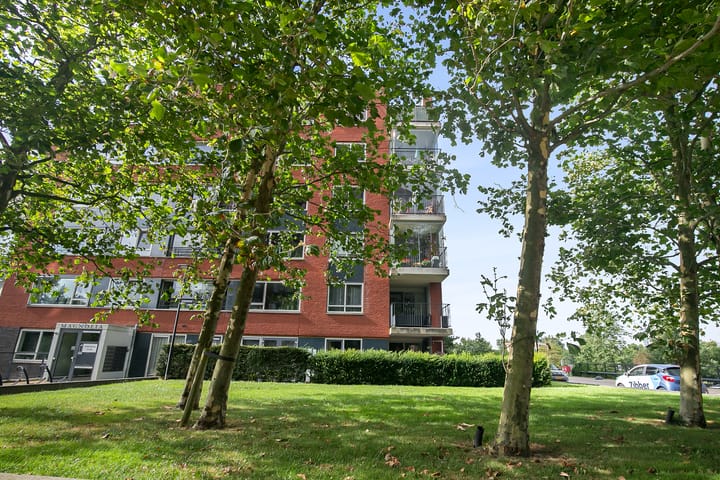 Foto 3 van Thetfordstraat 108