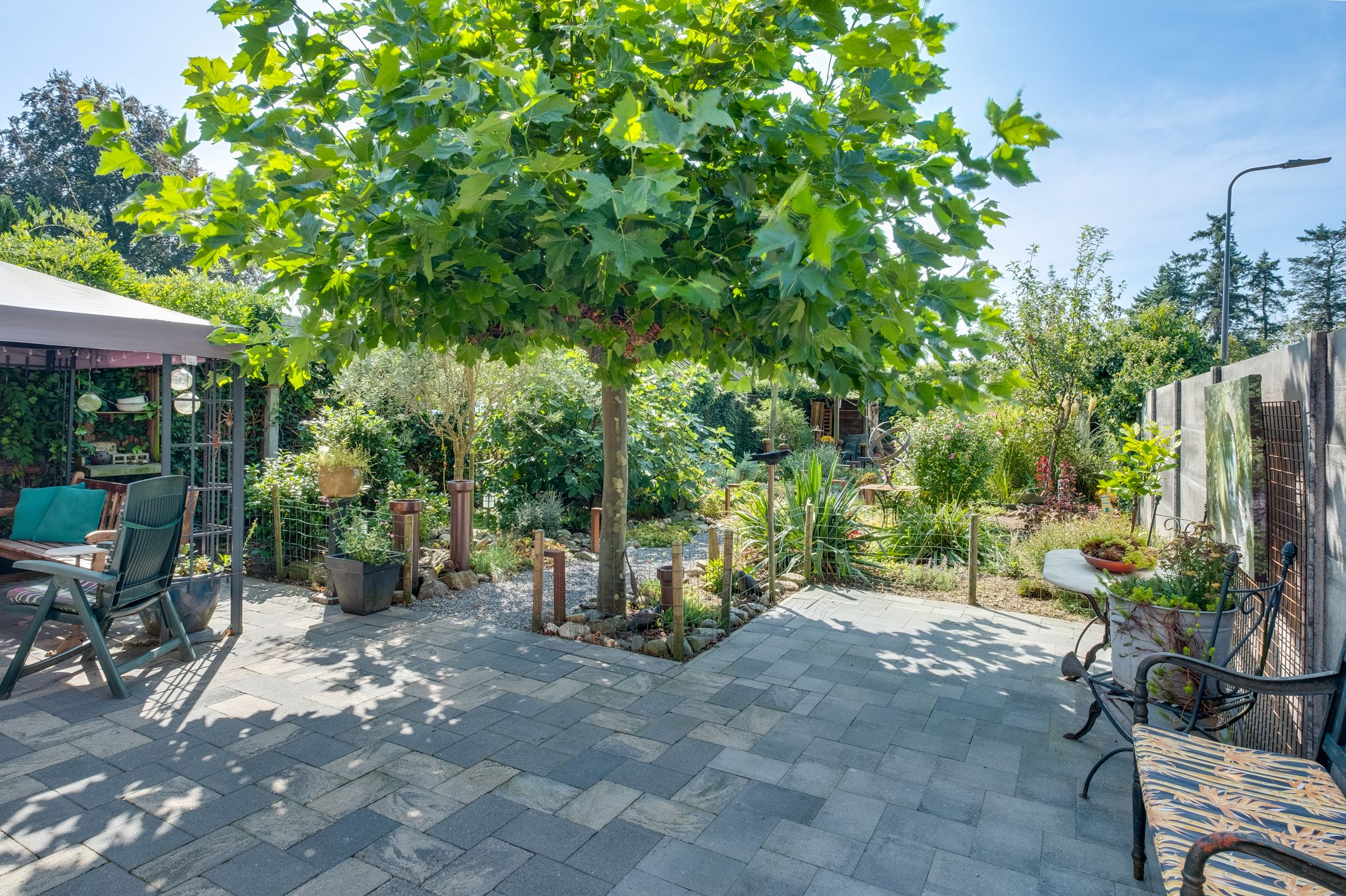 Photo 24 of Kattenberg 7-A