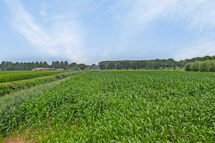 Foto 25 van Avensteinstraat 20