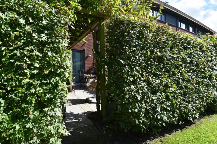 Foto 57 van Lauwers 24