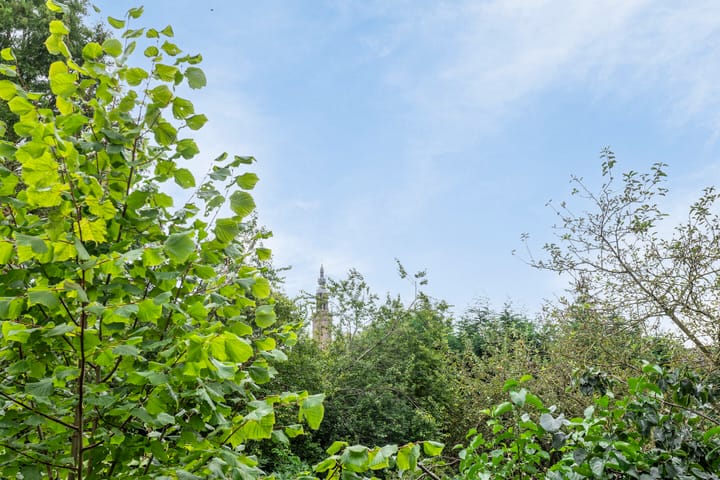 Foto 40 van Westervesting 20