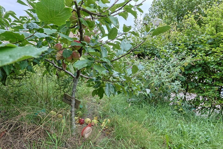 Bekijk foto 54 van Wikkestraat 48