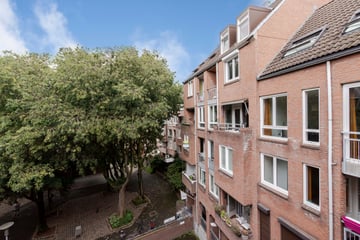 Hoogzwanenstraat thumbnail