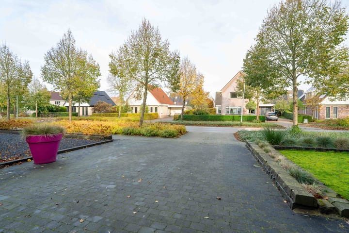 Foto 7 van Olingermeeden 33