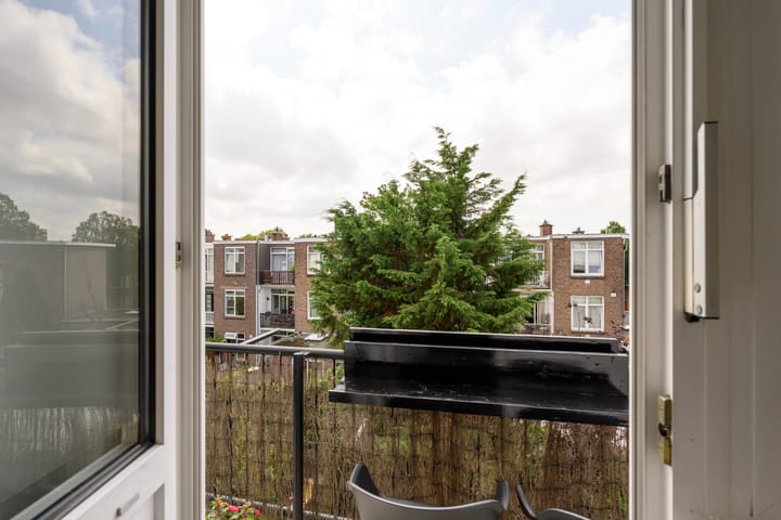 Foto 16 van Caan van Necklaan 202