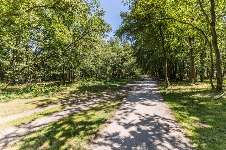 Foto 49 van Plaveenseweg 26