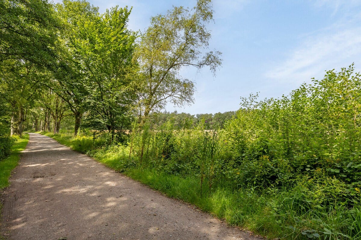 Foto 74 van Gerbrandyhof 2