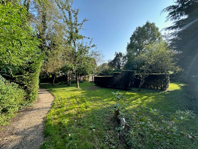 Photo 18 of Westervesting 20