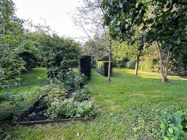 Photo 45 of Westervesting 20