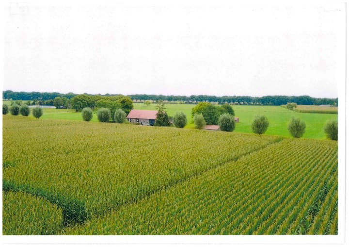 Foto 2 van Vlagberg 32