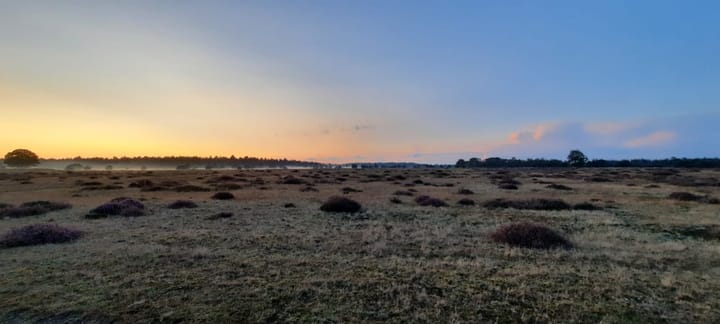 Foto 4 van Vlagberg 32