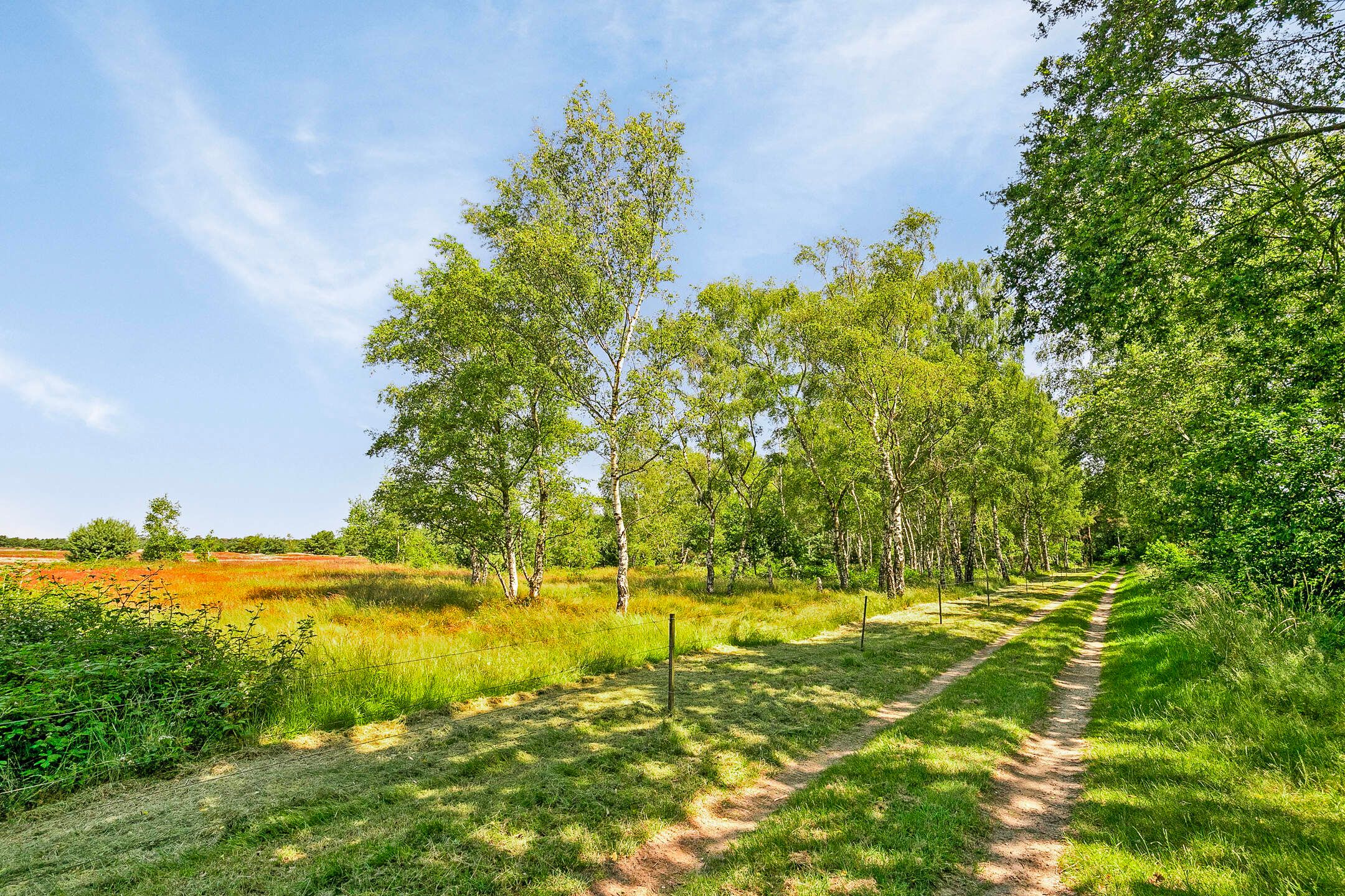 Photo 48 of Vlagberg 32