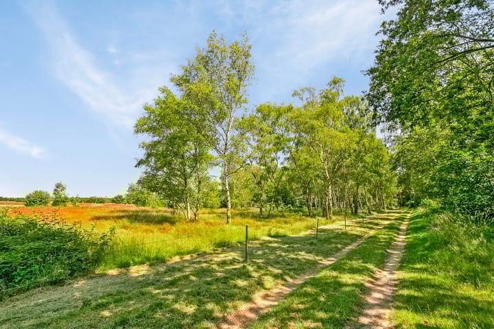 Foto 48 van Vlagberg 32