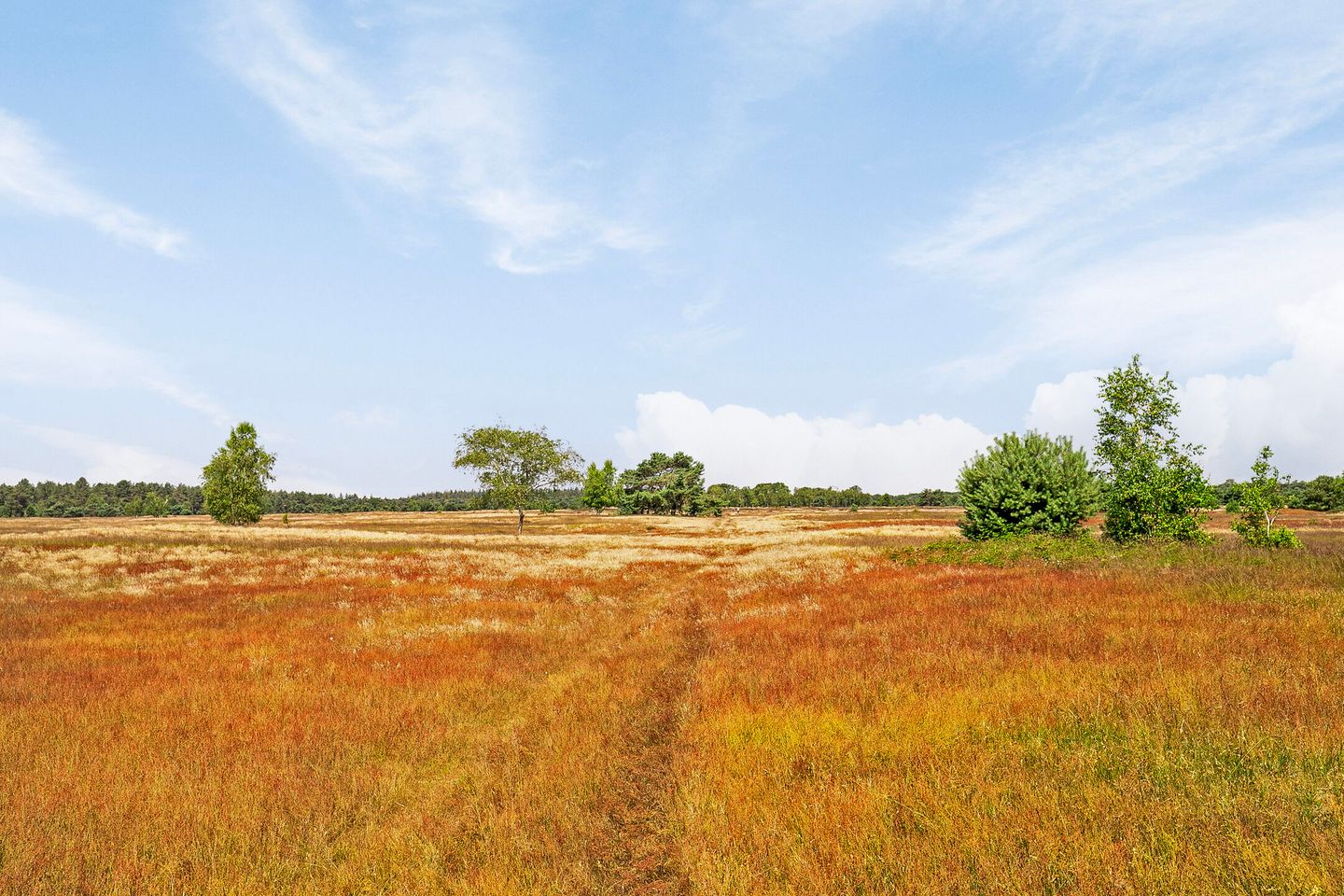 Photo 49 of Vlagberg 32