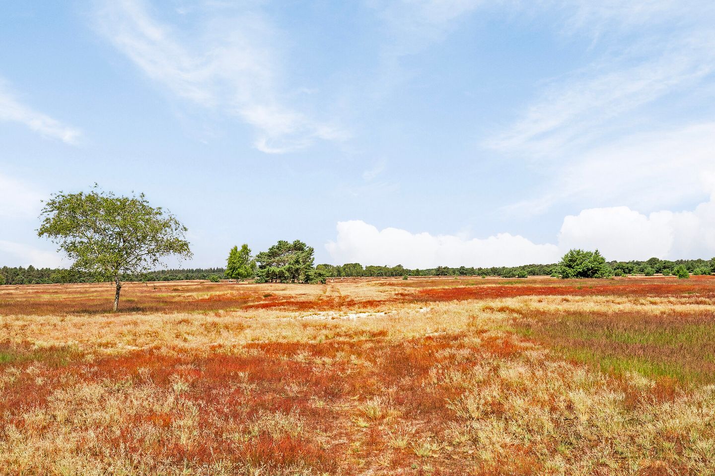 Photo 50 of Vlagberg 32