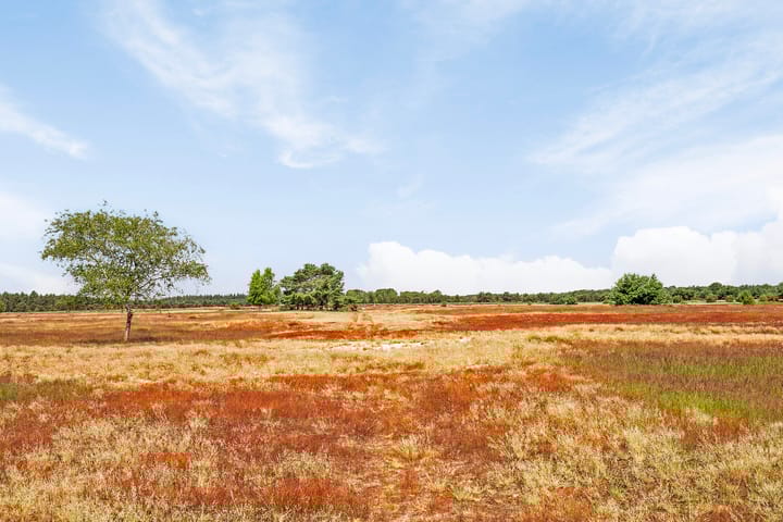 Foto 50 van Vlagberg 32