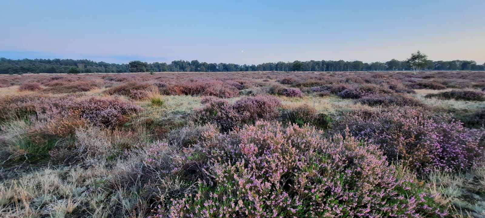 Photo 51 of Vlagberg 32