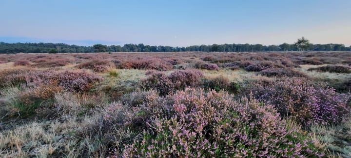 Foto 51 van Vlagberg 32