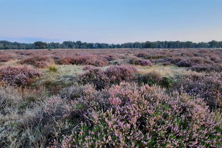 Bekijk foto 51 van Vlagberg 32