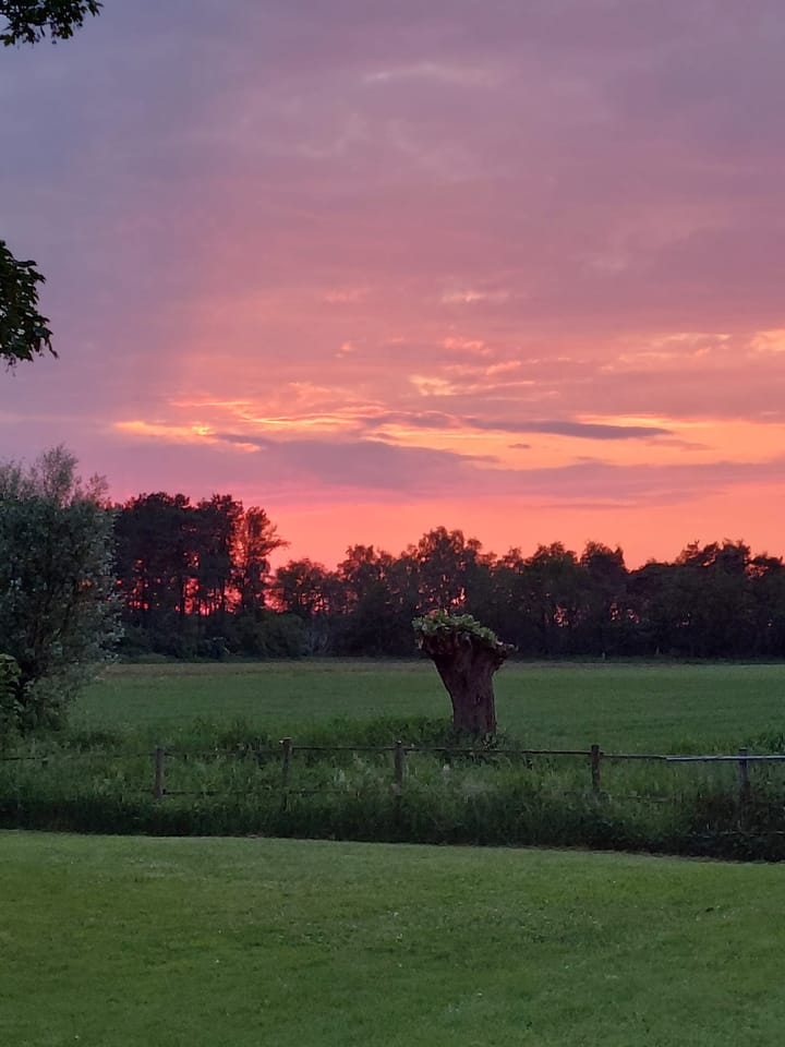 Foto 52 van Vlagberg 32