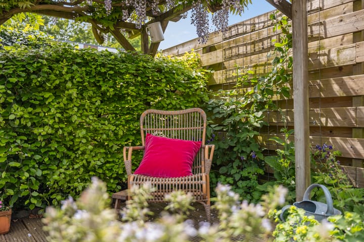 Foto 17 van Rutgerskamp 26