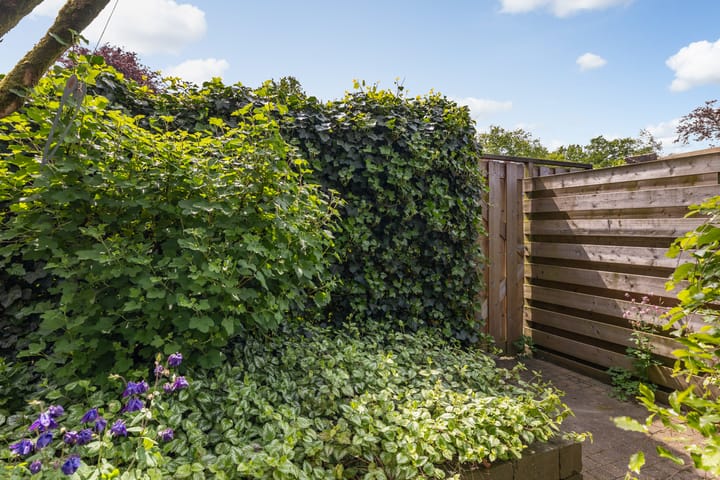 Foto 18 van Rutgerskamp 26