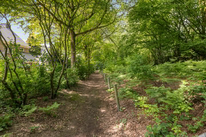 Foto 45 van Rutgerskamp 26