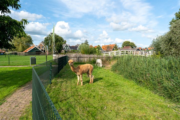 Bekijk foto 50 van Marten Michielshof 45