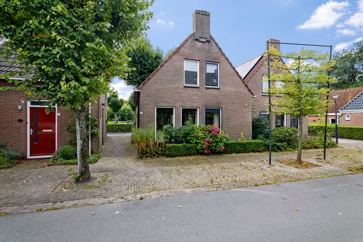 undefined main image