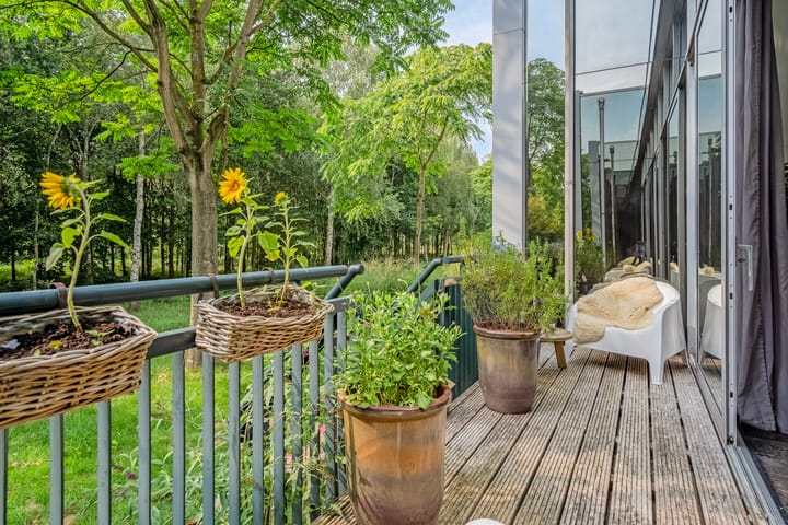 Foto 39 van Burggraaf 8