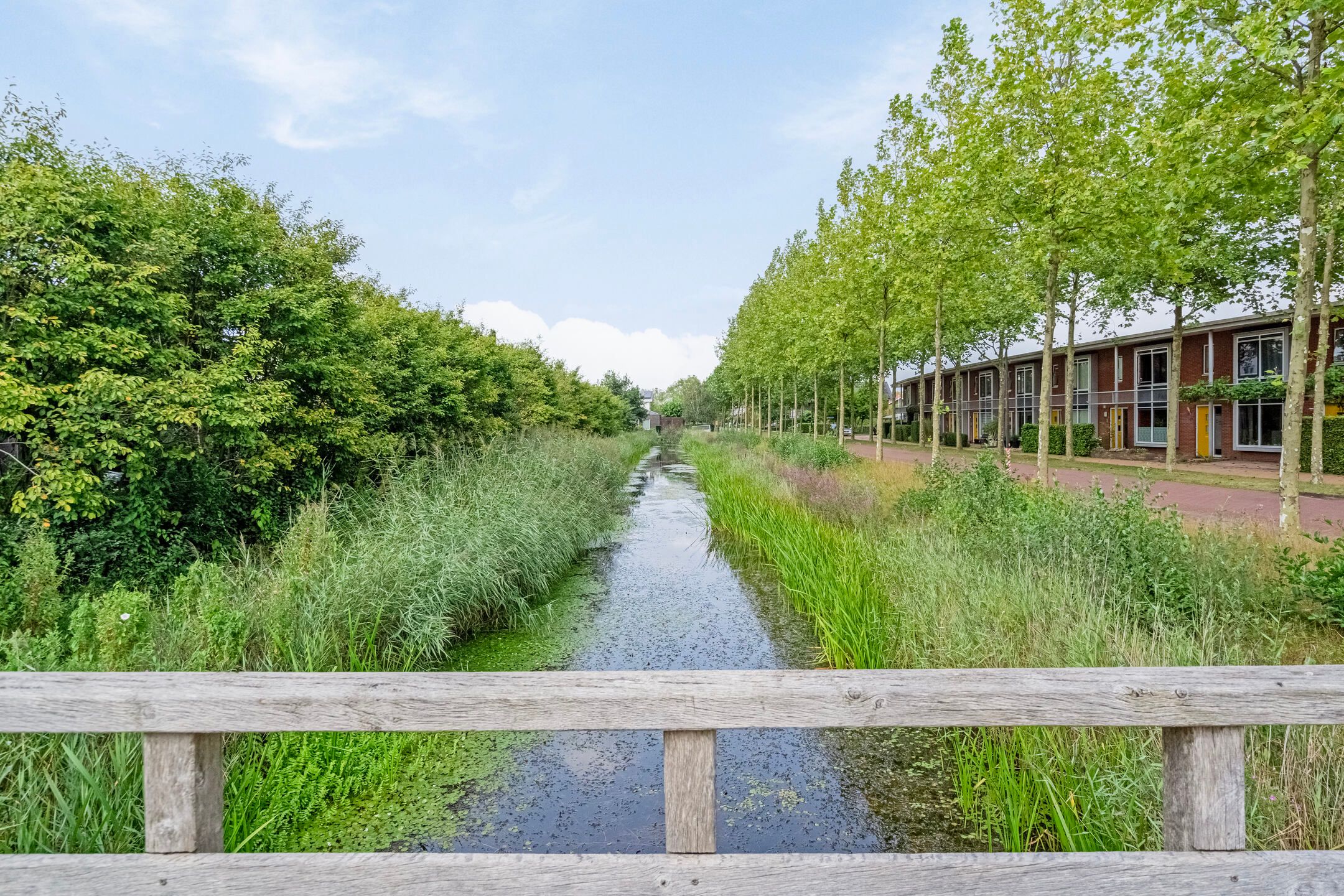 Foto 45 van Burggraaf 8