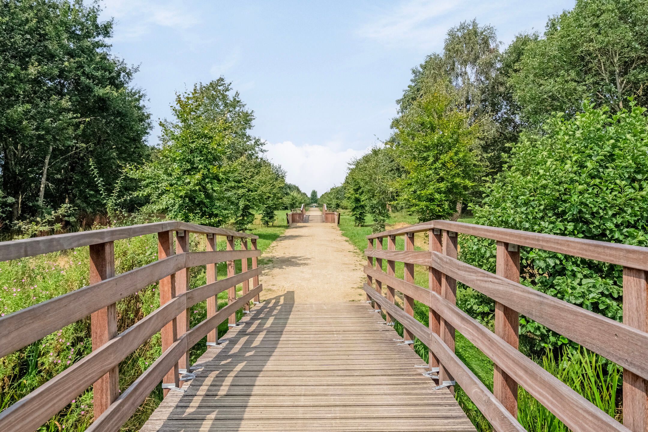 Foto 48 van Burggraaf 8