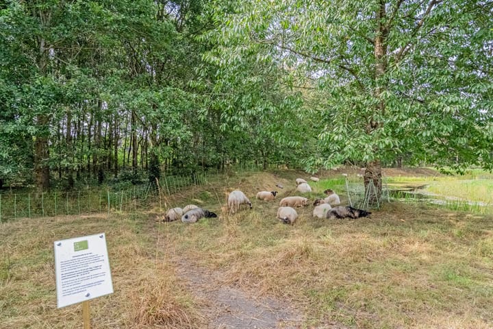 Foto 49 van Burggraaf 8