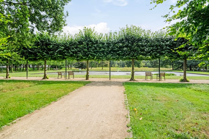 Foto 50 van Burggraaf 8