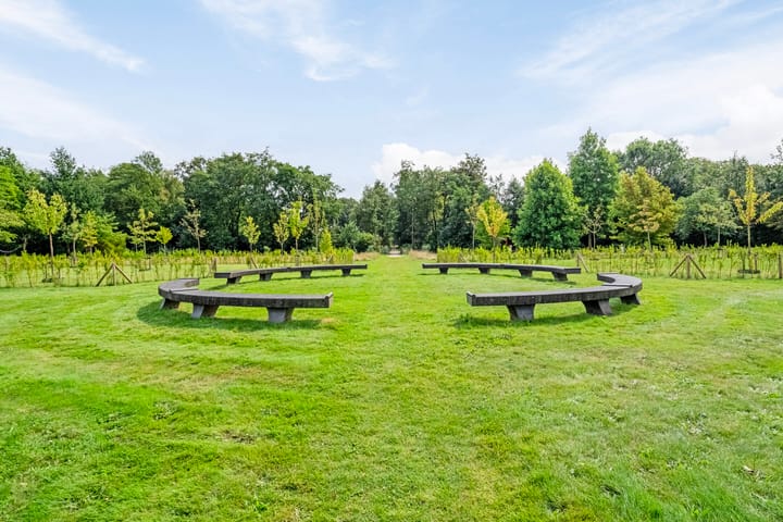 Foto 51 van Burggraaf 8