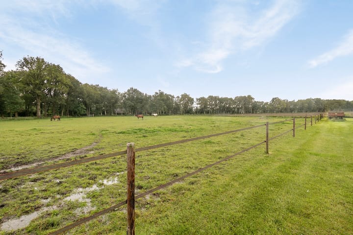 Foto 39 van Leggeloo 49