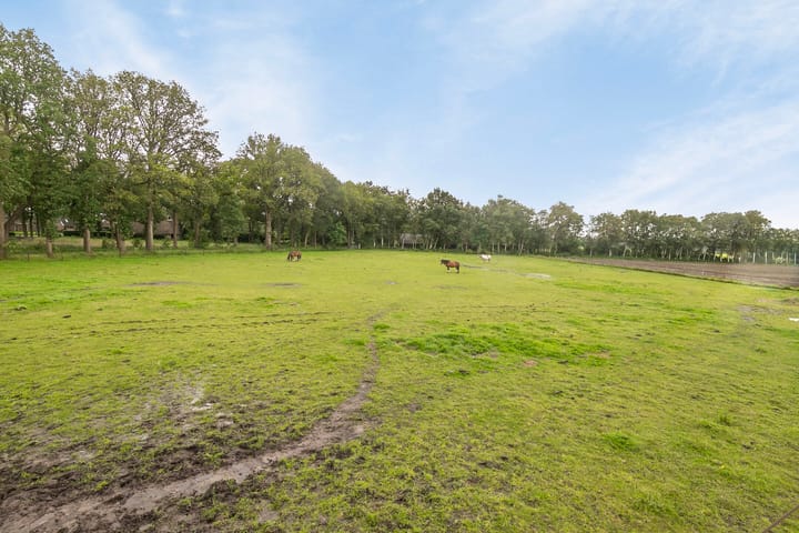 Foto 40 van Leggeloo 49