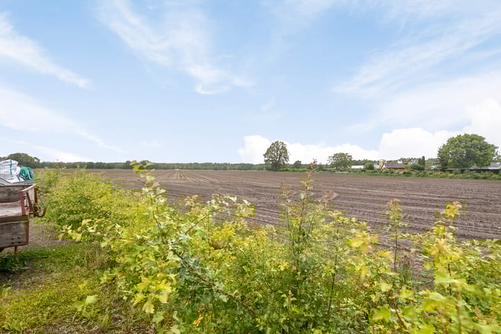 Foto 41 van Leggeloo 49