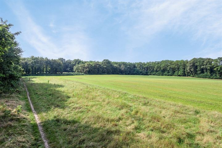 Bekijk foto 36 van De Toltoren 29