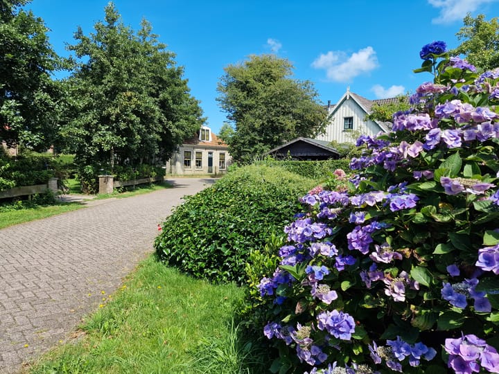 Foto 51 van Westerburen 36