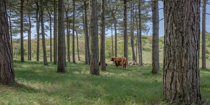 Foto 44 van Peperstraat 22