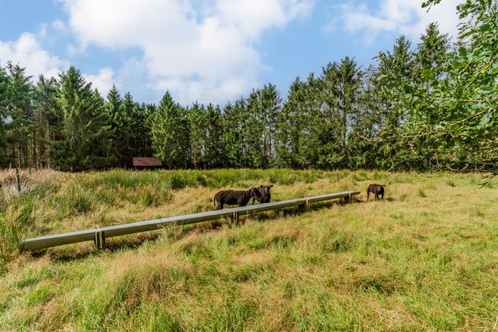 Bekijk foto 54 van Kanaal W.Z. 4