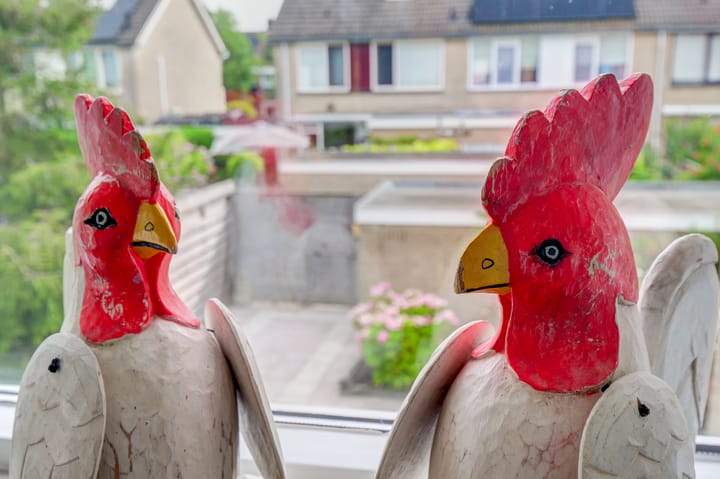 Foto 33 van Iepenlaan 83