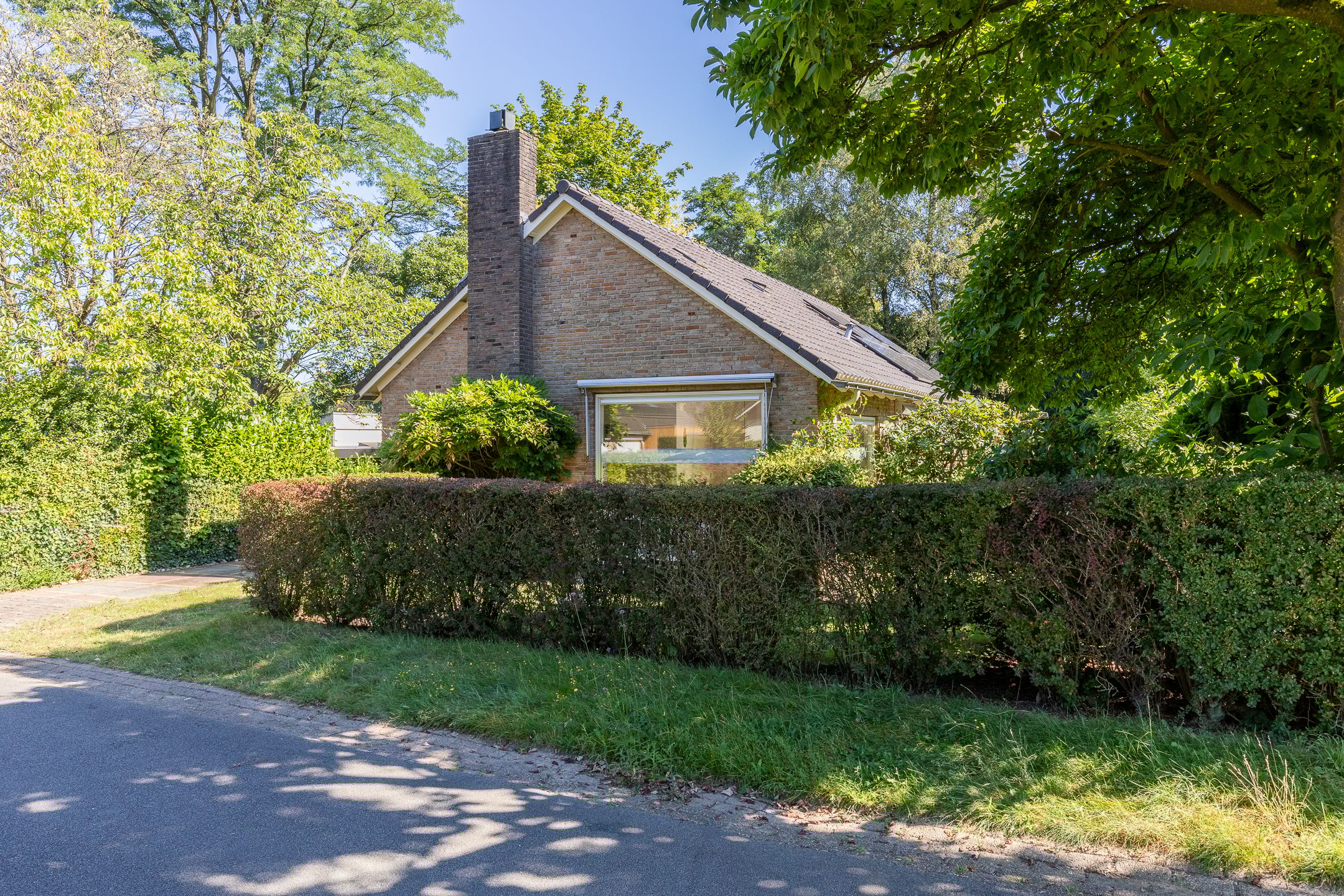 Foto 3 van Pollendal 8