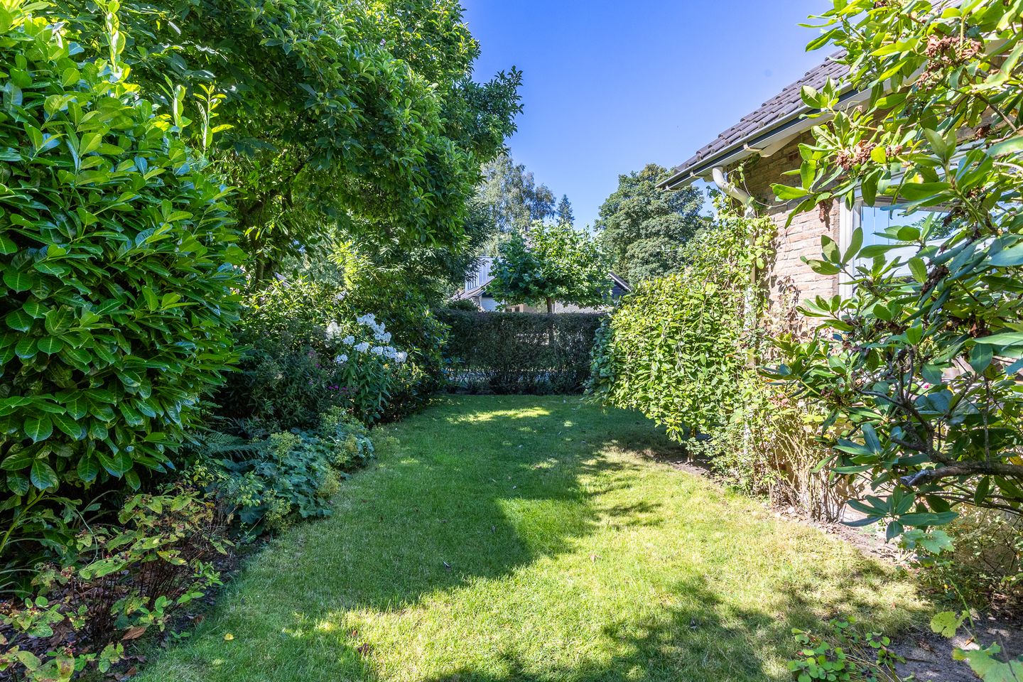 Foto 50 van Pollendal 8