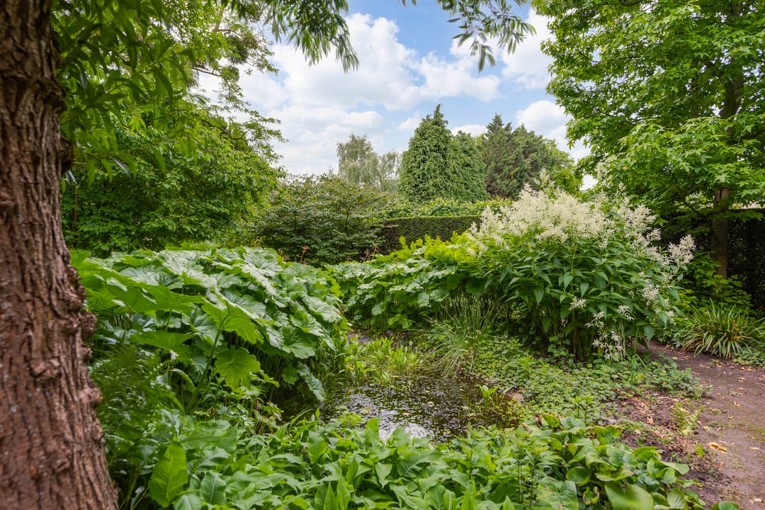 Foto 73 van Strijthagerweg 15