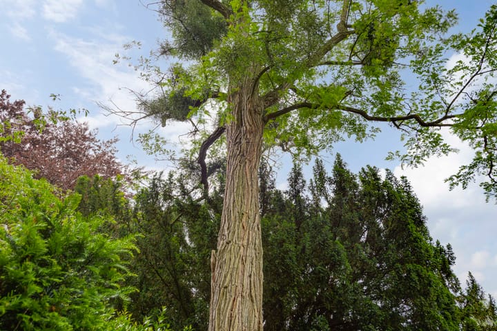 Foto 75 van Strijthagerweg 15