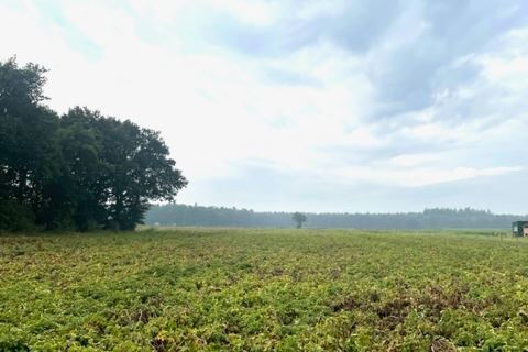 Bekijk foto 5 van Grond nabij Apeldoornseweg